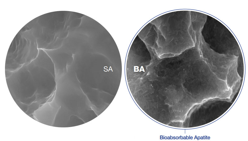 bioabsorbable-apatite-nano-coating-2.jpg