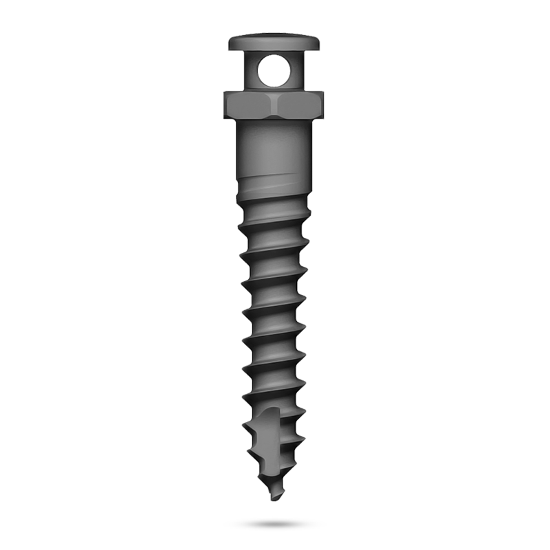Orthodontic Screws