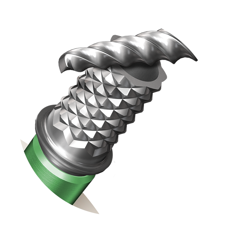 Temporary Abutments