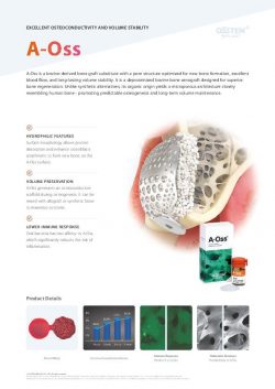 Flyer-EU_Regenerative_A-Oss_en_2026-web-thumbnail.jpg
