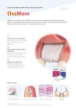 Flyer-EU_Regenerative_OssMem_en_2026-web-thumbnail.jpg